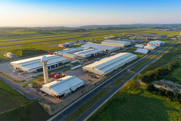 Tree Branch Group Co.,Ltd